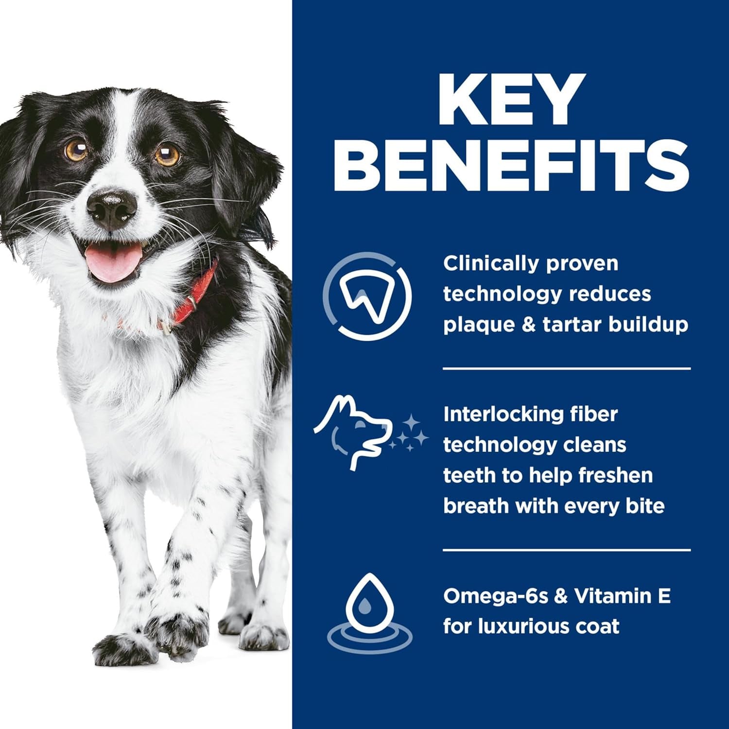 Hill’S Science Diet Adult Oral Care Small & Mini Dry Dog Food 5.67Kg